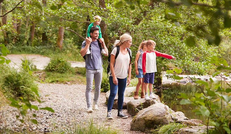 A family walking on a trail path and looking at a pond