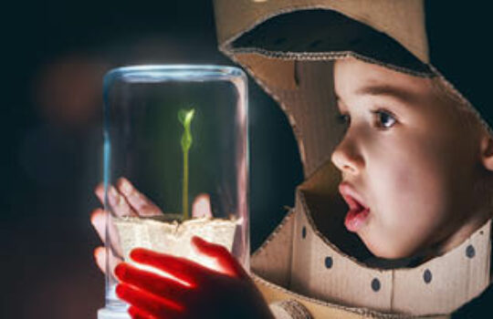 Little boy looking at an under glass plant