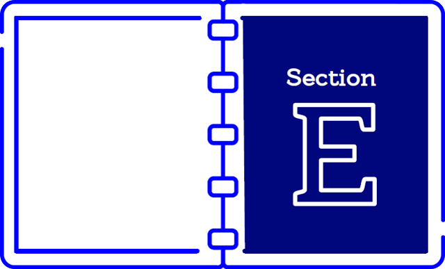 Section E Debt Repayments