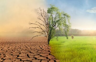 Climate change fastest growing concern for Irish households