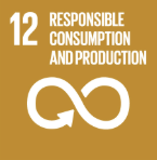 SDG icon 12: responsible consumption and production.