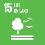 SDG icon 15: life on land.
